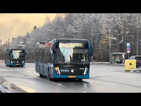 Видео: Первый снег в Зеленограде и автобусы