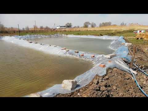 Видео: Пруды под рака и малек для прудов