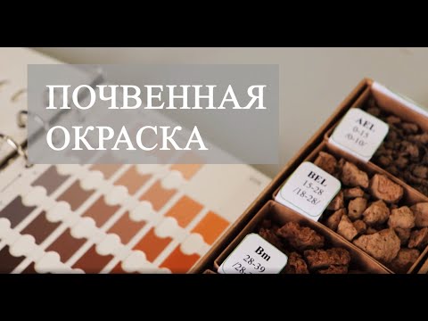 Видео: Морфология почв. Определение почвенной окраски.