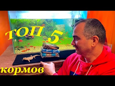 Видео: ТОП 5 популярных кормов для аквариумных рыб! Кормление аквариумных рыбок
