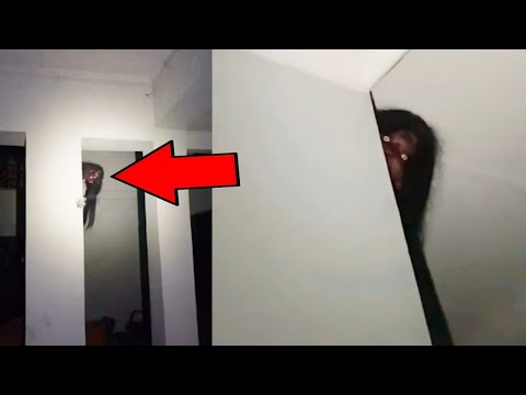 Видео: САМОЕ ДОЛГОЕ СТРАШНОЕ ВИДЕО!