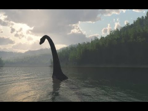 Видео: Тайлагдаагүй нууцууд#3 Бидэнтэй зэрэгцэн амьдрах үлэг гүрвэлүүд / TUUH.MN