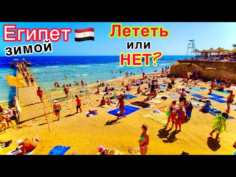Видео: Египет ЗИМОЙ 🇪🇬 СТОИТ ли ЕХАТЬ отдыхать в Декабре, Январе и Феврале? ЦЕНЫ на туры на ДНЕ❗️