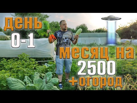 Видео: Месяц  2500 рублей  на еду + огород. День 0-1.
