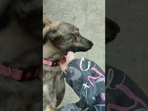 Видео: Влог.
