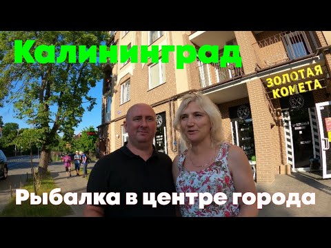 Видео: Калининград Рыбалка в центре города