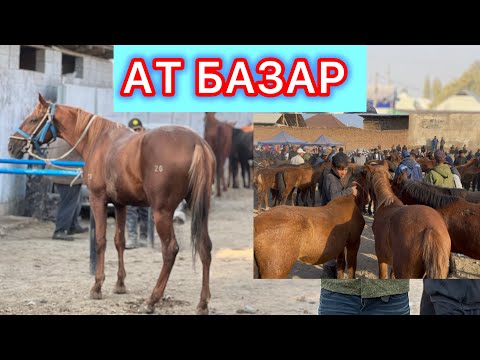 Видео: Ат базар КАРАВАН 18-Октябрь 