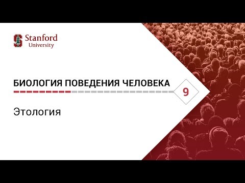 Видео: Биология поведения человека: Лекция #9. Этология [Роберт Сапольски, 2010. Стэнфорд]