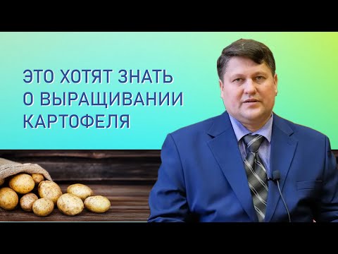 Видео: Выращивание картофеля. Котиков Михаил Валерьевич отвечает на вопросы подписчиков. Часть 3