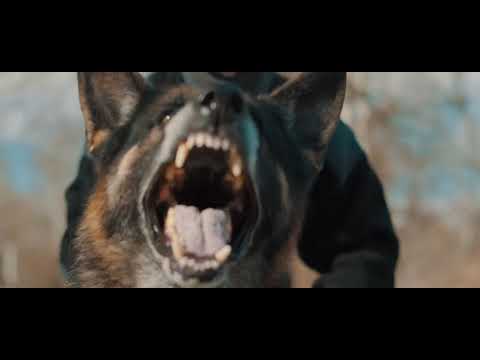 Видео: 30 години најдобри