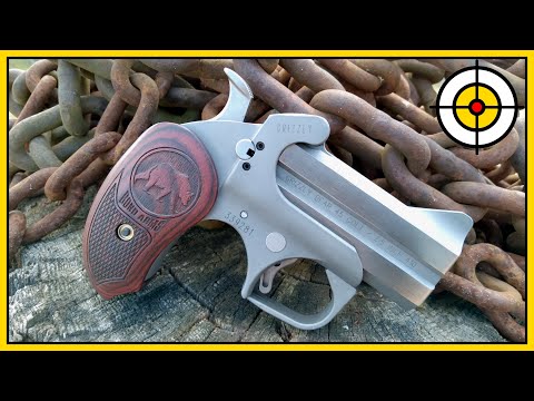 Видео: 🐻Не обычный медведь!🐻 Обзор и первые выстрелы Bond Arms Grizzly .45 Colt и .410 Derringer!
