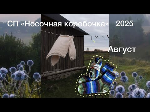 Видео: СП «Носочная коробочка-5», август 2025