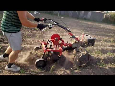 Видео: уборка картофеля мотоблоком угра с картофелекопалкой ккв1