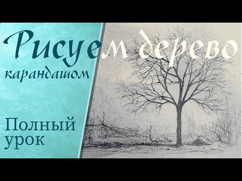 Видео: Как нарисовать дерево карандашом. Поэтапный рисунок