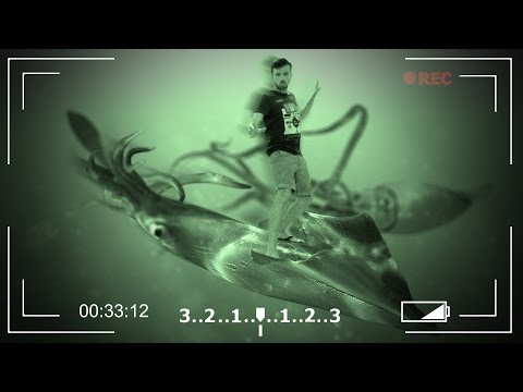 Видео: РЕДКИЕ КАДРЫ: ЧЕЛОВЕК НА ГИГАНТСКОМ КАЛЬМАРЕ - ABZU #3