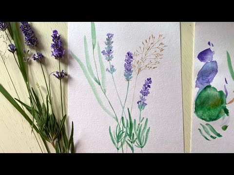 Видео: Лаванда и травы акварелью. Акварель для начинающих. Рисуем полевые травы