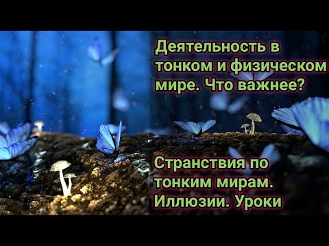 Видео: Странствия по тонким мирам. Важность физического опыта. Иллюзия деятельности.