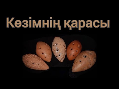 Видео: Абай "Көзімнің қарасы" #сазсырнай