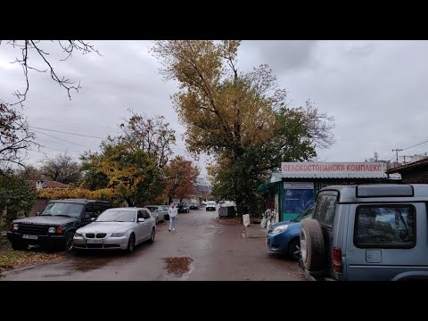 Видео: Сигнал на русенци: Опасна топола застрашава коли и сгради, никой не реагира