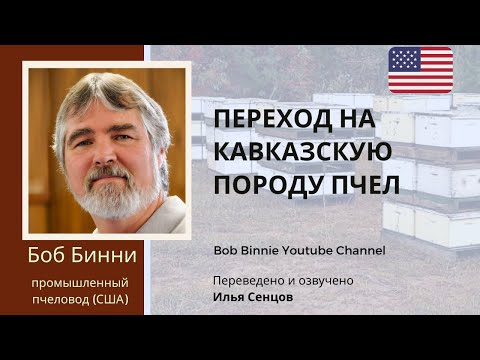 Видео: Перевод промышленной пасеки на кавказскую породу пчел (Боб Бинни, США)