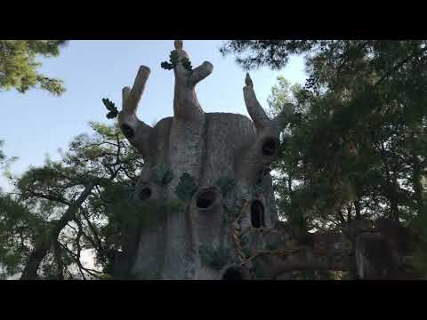 Видео: Eco Dream Club. Ускользающие миражи древнего Ноя под видео и музыку Андрея Мисина