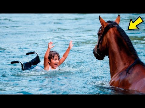 Видео: 💔 Богач Сбросил Дочь В Инвалидной Коляске В Реку…