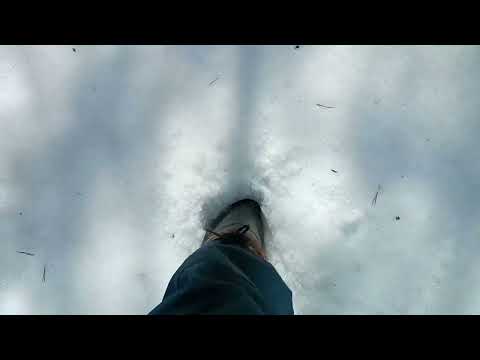 Видео: Поиск рогов. А в лесу ещё зима.