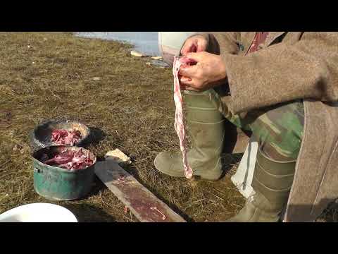 Видео: Чистим и готовим рыбьи потроха.