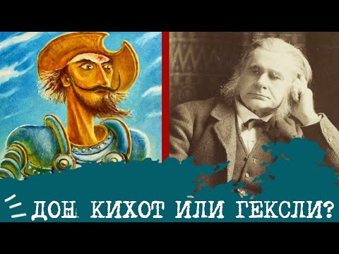 Видео: Дон Кихот (ИЛЭ) или Гексли (ИЭЭ)⚖️