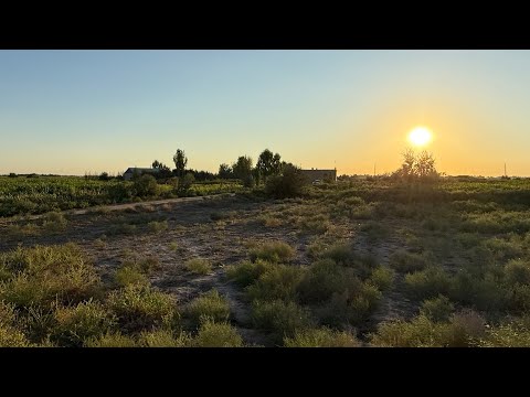 Видео: БЕРУНИЙДА 2 ГЕКТАРЛИ АРЗОН ЖОЙ СОТИЛАДИ 