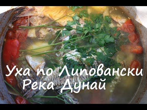 Видео: За уши не Оттянешь. Секрет ухи по липовански  г. Вилково река Дунай.