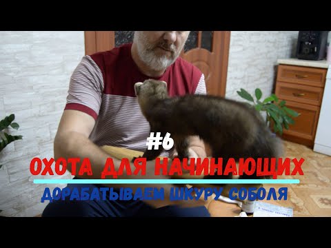 Видео: Промысловая охота для начинающих.Доработка шкуры соболя.Перевозка лыж и оружия на снегоходе.