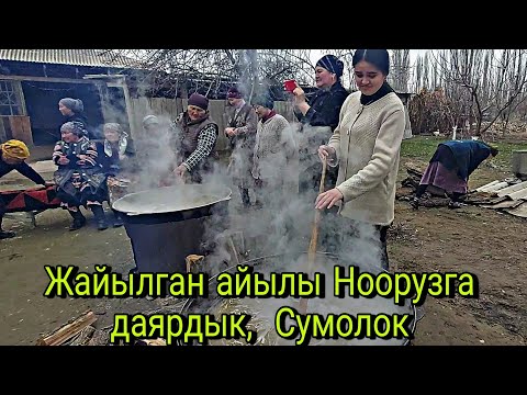 Видео: Талас Манас-району Жайылган айылы Ноорузга даярдык Сумолок жасоо