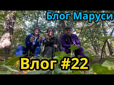 Видео: СЛИВОВЫЙ ПИРОГ | КАК МЫ ЗА ГРИБАМИ ХОДИЛИ  | БЛОГ МАРУСИ