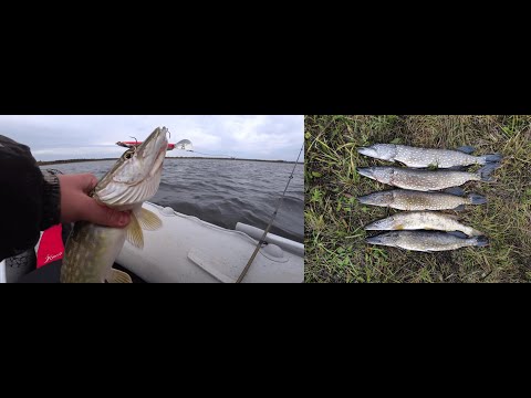 Видео: ОСЕННИЙ ТРОЛЛИНГ! ЩУКА НА ВОБЛЕРЫ! РЫБАЛКА 2024