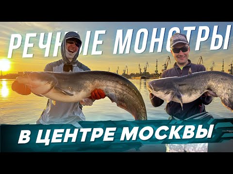 Видео: МОНСТРЫ на спиннинг в центре Москвы. Рыбалка с #OnlySpin