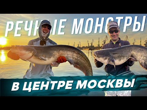 Видео: МОНСТРЫ на спиннинг в центре Москвы. Рыбалка с #OnlySpin