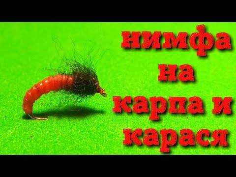 Видео: нимфа на карпа и карася #29