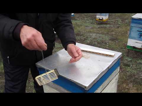 Видео: Варианты изоляторов для кратковременной осенней изоляции. 31.12. 2019г.