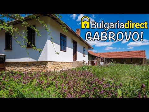 Видео: ГОТОВАЯ К КЛЮЧУ НЕДВИЖИМОСТЬ В БОЛГАРИИ С ЕЖЕМЕСЯЧНОЙ ОПЛАТОЙ ОТ Bulgariadirect - эксклюзивно в р...
