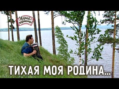 Видео: Играй, гармонь! | Геннадий Заволокин | Тихая моя Родина...