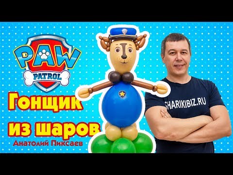 Видео: Гонщик из мультфильма Щенячий патруль