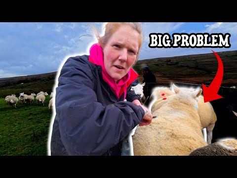 Видео: БОЛЬШАЯ проблема с отпущением Тупов!!! 😬