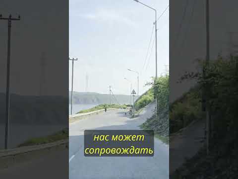 Видео: Почему Сочи это курорт, а Владивосток - нет. #shorts