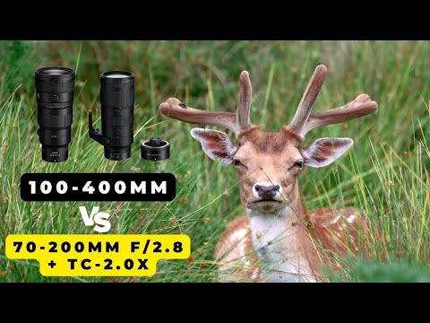 Видео: Nikon Z 100-400 мм против 70-200 мм f/2.8 с телеконвертером? ПОЛЕВОЕ ИСПЫТАНИЕ