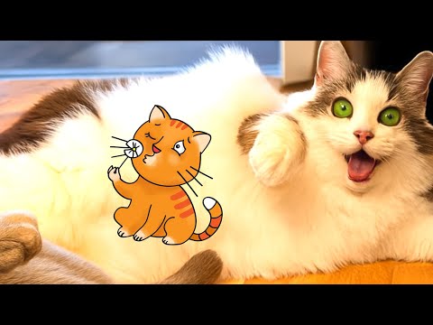 Видео: Внимание: это видео с котом слишком милое, чтобы его смотреть! 😻 | Вирусные моменты с животными 2...