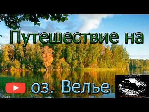 Видео: Озеро Велье. Лагерь "Белая нива". Lake Velye. The camp "White Field".