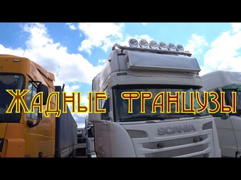 Видео: Жадные Французы