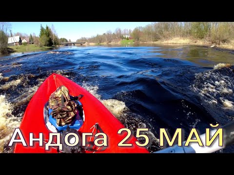 Видео: Андога, Май, 25. Сплав по реке Вологодской области в мае 25 года.