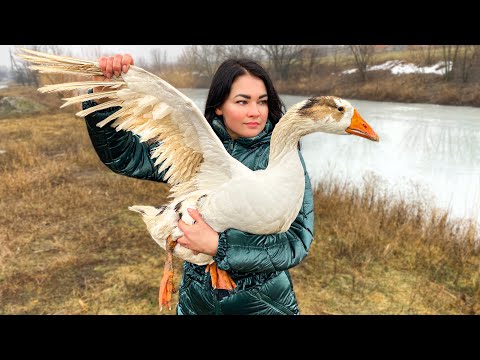 Видео: Мега Гусь Фаршированный Перепелками и Приготовленный в Печи! Незабываемый Рецепт